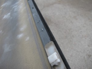 [Pilt: IMG_5339_3_300pix.JPG]